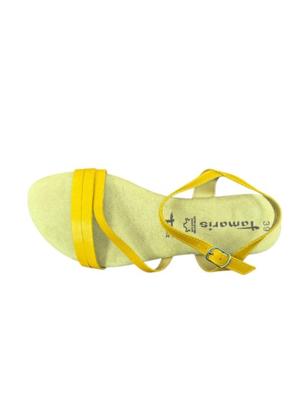 TAMARIS - Image 2