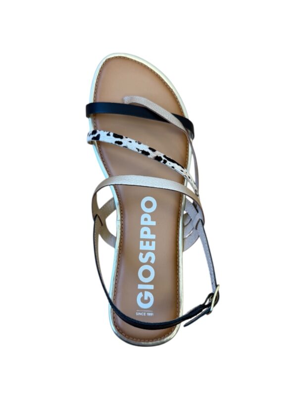 GIOSEPPO - Image 2
