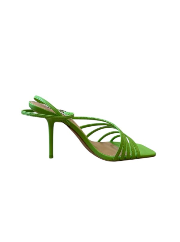 STEVE MADDEN