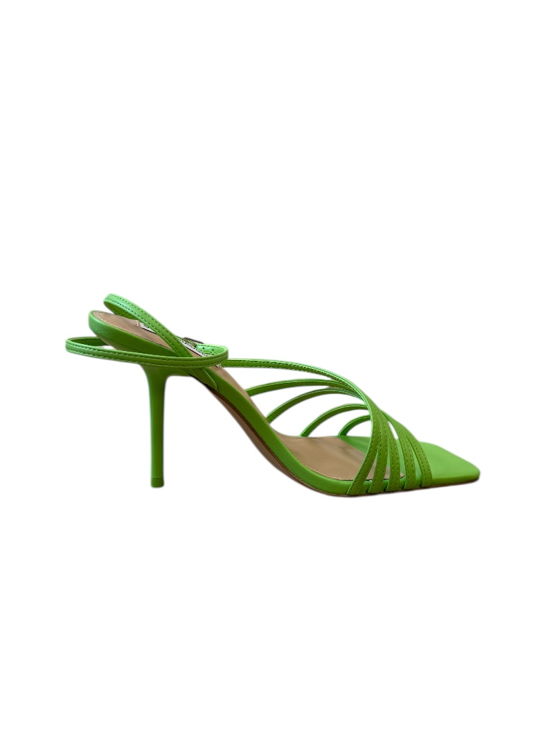STEVE MADDEN